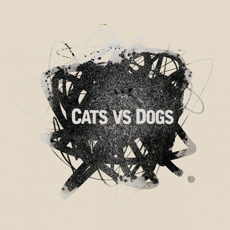 short reports-cats vs dogs